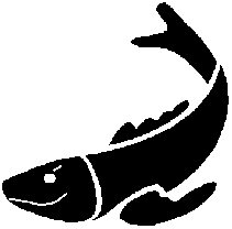 kewlfish